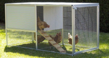 Jak postavit procházku pro kuřata vlastními rukama?